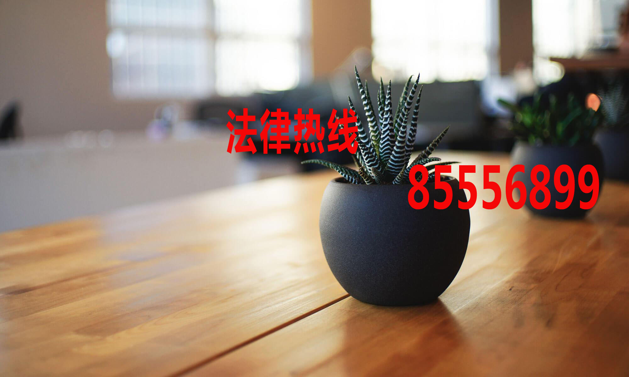 鹿城区律师15356291688_温州市鹿城律师